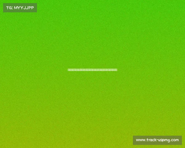 美国赛事直播美国顶级赛事直播盛宴实时呈现精彩对决共享全球球迷激情